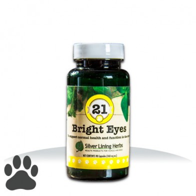 Dog Eye Health